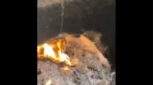 ОТБОРНЫЕ приколы 2024 Смешные видео - ЛУЧШИЕ ПРИКОЛЫ! #2