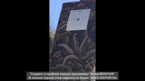 PCP ПСП винтовка Walther Dominator 1250 стрельба на 15 и 60 м