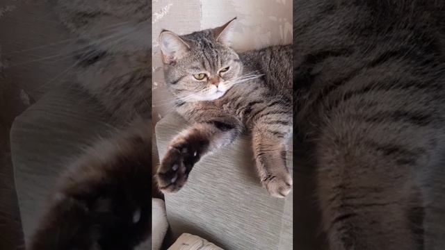 В этом доме кто-нибудь будет меня кормить?!??? смотреть онлайн