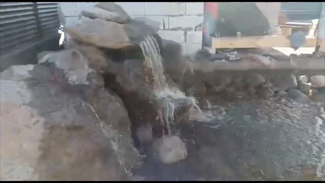 Декоративный пруд Лисий Нос