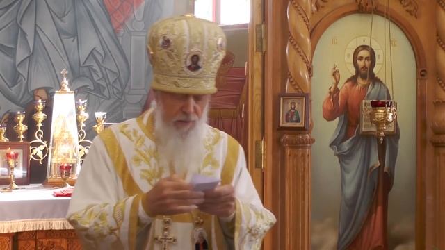 Мы живем по Своей ВОЛЕ! #ЕпископАВГУСТИН #ГородецкийиВетлужский.