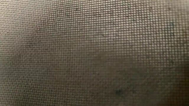 Витамины для дендробены. смотреть онлайн