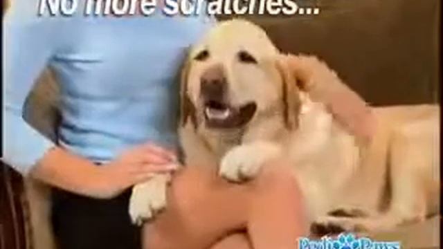 Лапахвост Pedi paws электрическая когтеточка-триммер смотреть онлайн