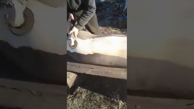 чистка шкуры смотреть онлайн