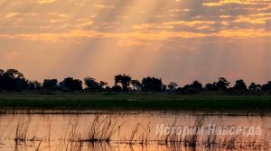 «Взяла три мандаринки и стоишь тут» продавщица гнобила бабушку. А едва…