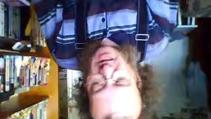 стихи лермонтова два сокола