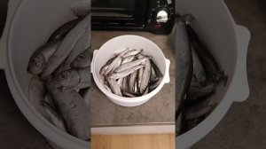 Как посолить кильку в домашних условиях.#посолрыбы#килька#лайфхак#килька