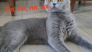 Недополненая песня.
