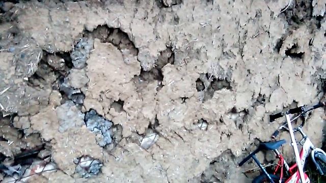 Переселенцы из Германии. Спустя 5 лет. Осень....