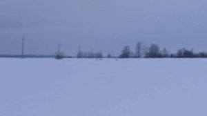 косуль видели, машину посадили,рыбу поймали.Тобол Сибирь.