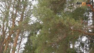 Квадрокоптер. Как я учился летать.