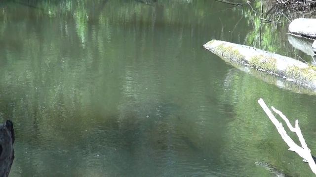 Село Инцисс и его окрестности, 2012.mp4 смотреть онлайн