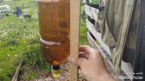 20. За копейки ЕМКОСТЬ для воды, капельный полив.