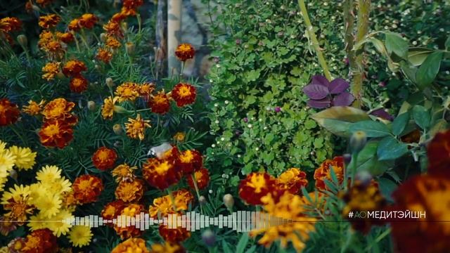 Музыка для медитаций. Spirit of Fire - Jesse Gallagher. отредактировал #аюмедитэйшн смотреть онлайн