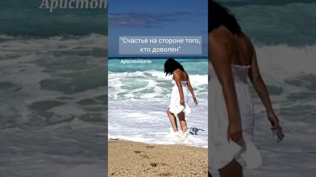 #shorts Цитата дня