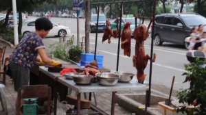 Nikki reports on Yulin Dog Meat Festival 2017