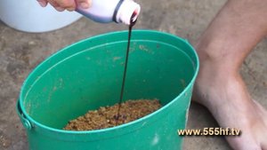 Ловим сазана в августе  Часть 1