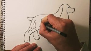 Как нарисовать кокер-спаниеля
