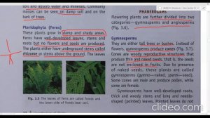 CLASS 7 ICSE-BIOLOGY-CLASSIFICATION OF PLNTS || COMPLETE CHAPTER STUDY