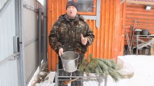 Чудодейственный увар для кур несушек своими руками.