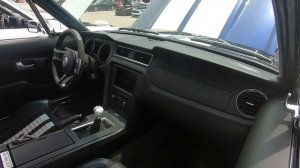 Отдаю Mustang подписчику.Розыгрыш мустанг.Сходка любителей мустангов