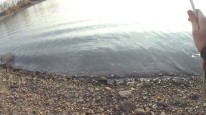 Щука Карась Сазан  и все это называется Рыбное Ассорти