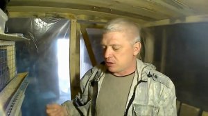 Когда начинают нестись перепела? // Первое яйцо  // Японский перепел