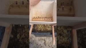 Дробилка для винограда с гребнеотделителем.