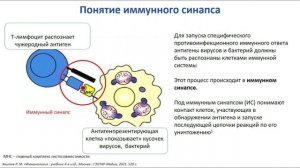 Профессор Рязанцев Сергей Валентинович. Роль оториноларинголога в лечении ОРЗ