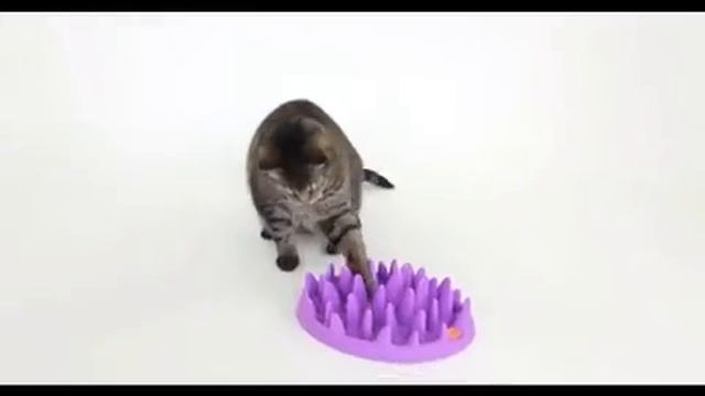Игрушки для кошек и котят. Покупайте в магазинах Золотая Рыбка