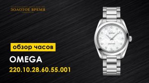 Часы наручные женские Omega Seamaster Aqua Terra 220.10.28.60.55.001