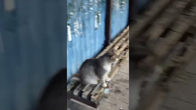 План провален