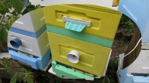 для чего делать верхние летки в корпусах и магазинах улья, и можно ли делать только нижний леток