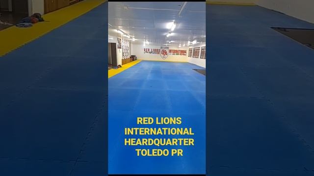 Academia de jiu jitsu Red Lions International tatames 2x1 prime #primetatames #bjjfamily #jiujitsu