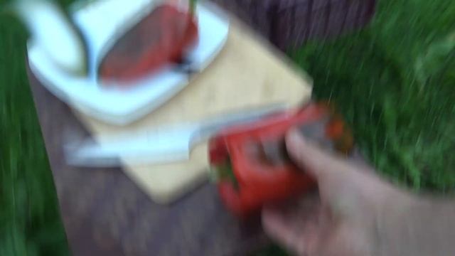 Лучшие сорта перцев для теплицы. 5 секретов выращивания. смотреть онлайн