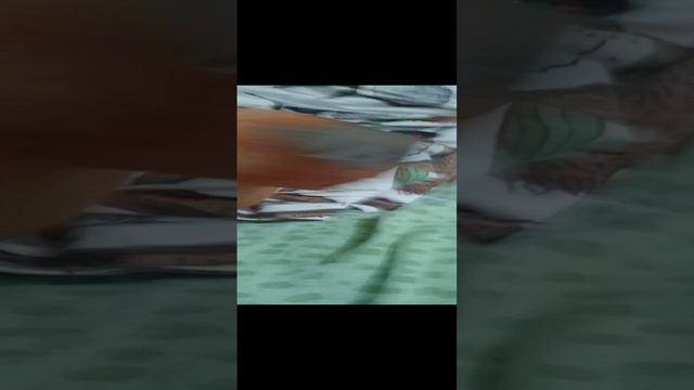 капибара проходит скулбой рановей 1 часть