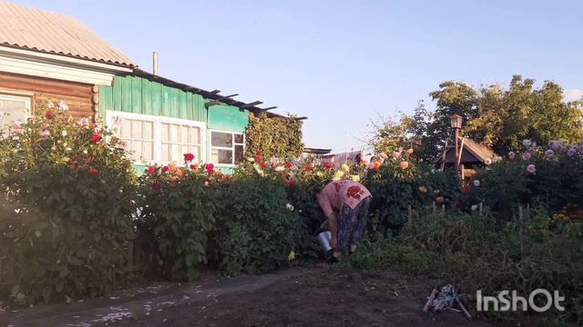 Простая семья из Казахстана.Напала болезнь.Прибераемся в огороде.