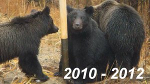 г.Оха, Сахалин 2010-2012 (Okha city, Sakhalin)