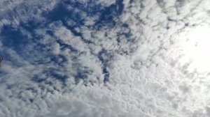 Между делом, мы - ЖИВЁМ!