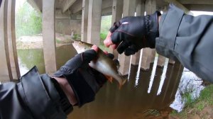 ОЗЕРА И МАЛЫЕ РЕКИ. Майская рыбалка.