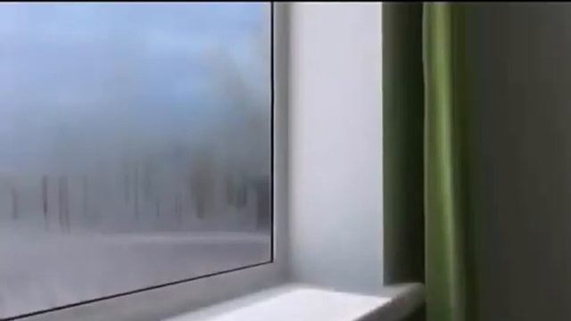 Желдетуді ұйымдастыру Койбагарова смотреть онлайн