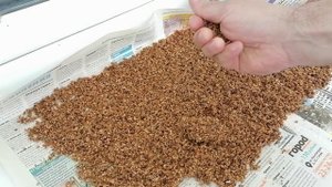 Новая прикормка для рыбалки собирает и активизирует рыбу