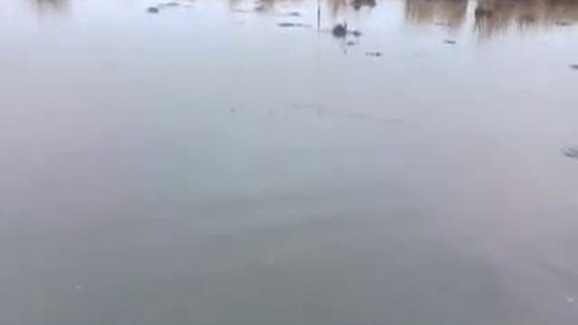 вот рыбаки!