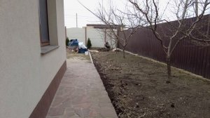 Мульчирование почвы хвойным опадом. Картон как мульча под приствольные круги деревьев