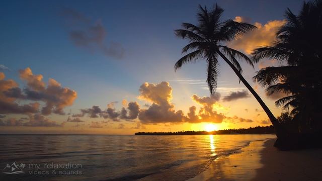8 HOURS 4K Tropical sunrise beach relaxation video Relaxing Sounds Calm Ocean Waves & Singing Birds