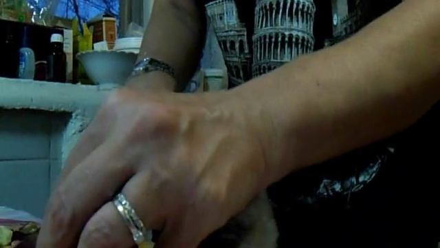 Как накормить кота тем, что он не ест? смотреть онлайн