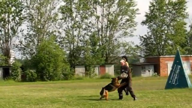 каталог № 97 ФАЙЕРХУНД НЬЕЛИ смотреть онлайн