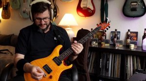 This Guitar Has ALL The Tones! - PRS SE Paul's Guitar 👍