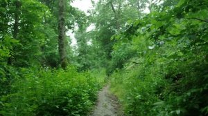 Железноводск