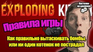 Играем в Exploding Kittens (Взрывные котята). Обзор и правила. Настольные игры на ПК. Настолки